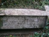 image of grave number 260449